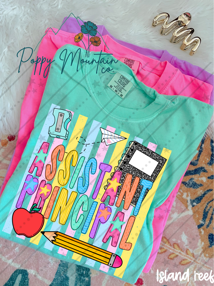 Colorful Stripes School Profession Tee