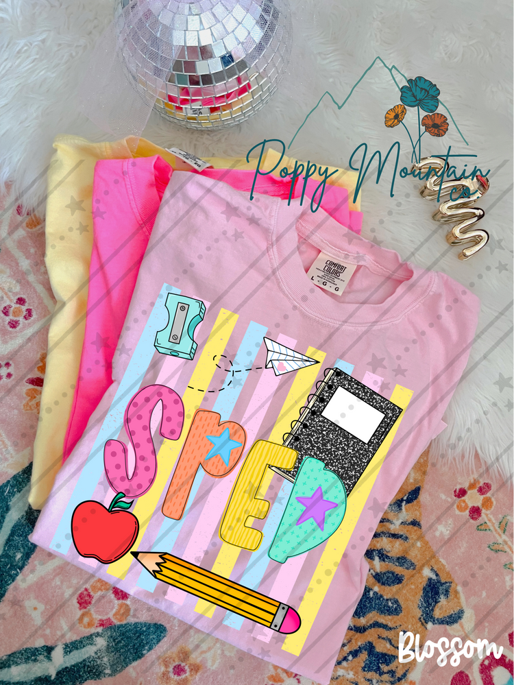 Colorful Stripes School Profession Tee